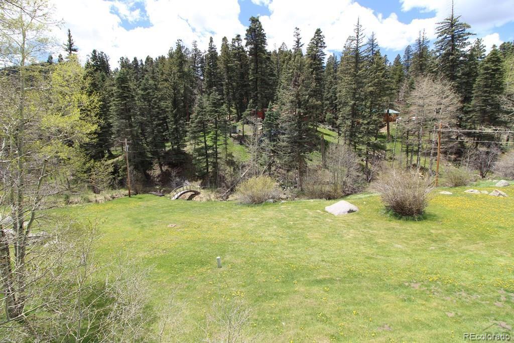 148 County Road 378, Unit 378 Rye, CO 81069 - Photo 33 of 35 a view of a yard