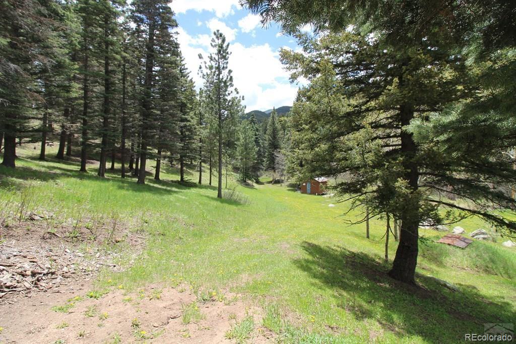 148 County Road 378, Unit 378 Rye, CO 81069 - Photo 34 of 35 a view of yard with trees