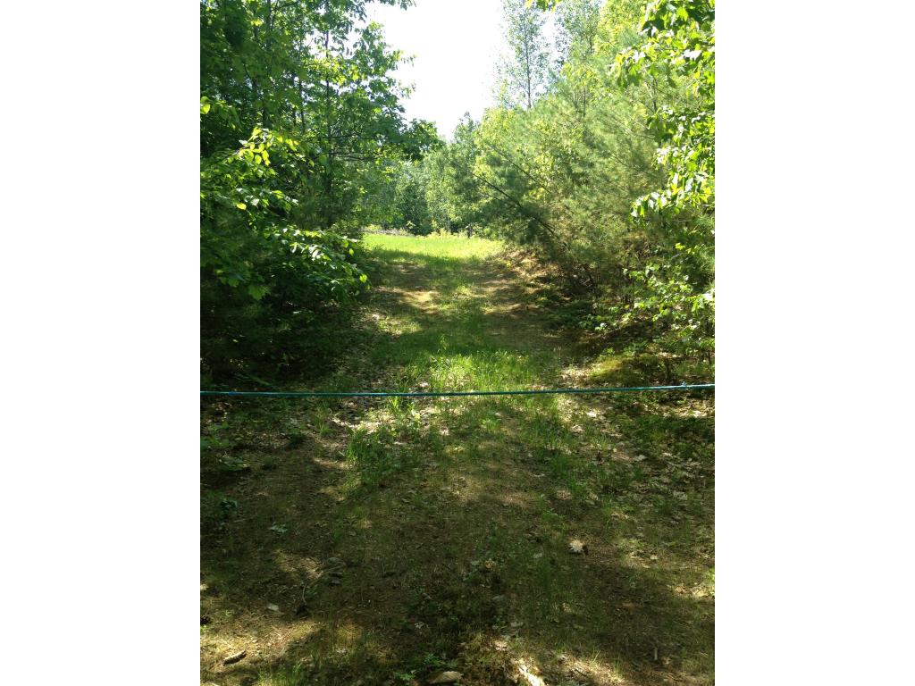 Lot 7 Garney Road Brookfield, NH 03872 - Photo 1 of 4