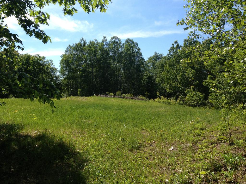 Lot 7 Garney Road Brookfield, NH 03872 - Photo 2 of 4