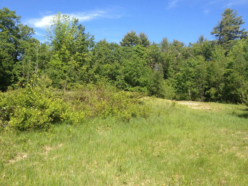 Lot 7 Garney Road Brookfield, NH 03872 - Photo 3 of 4