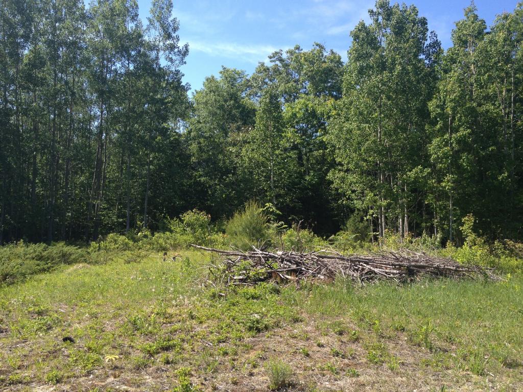 Lot 7 Garney Road Brookfield, NH 03872 - Photo 4 of 4