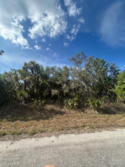 1 Kamain Road North Port, FL 34288 - Photo 3 of 4 a view of a yard with a tree