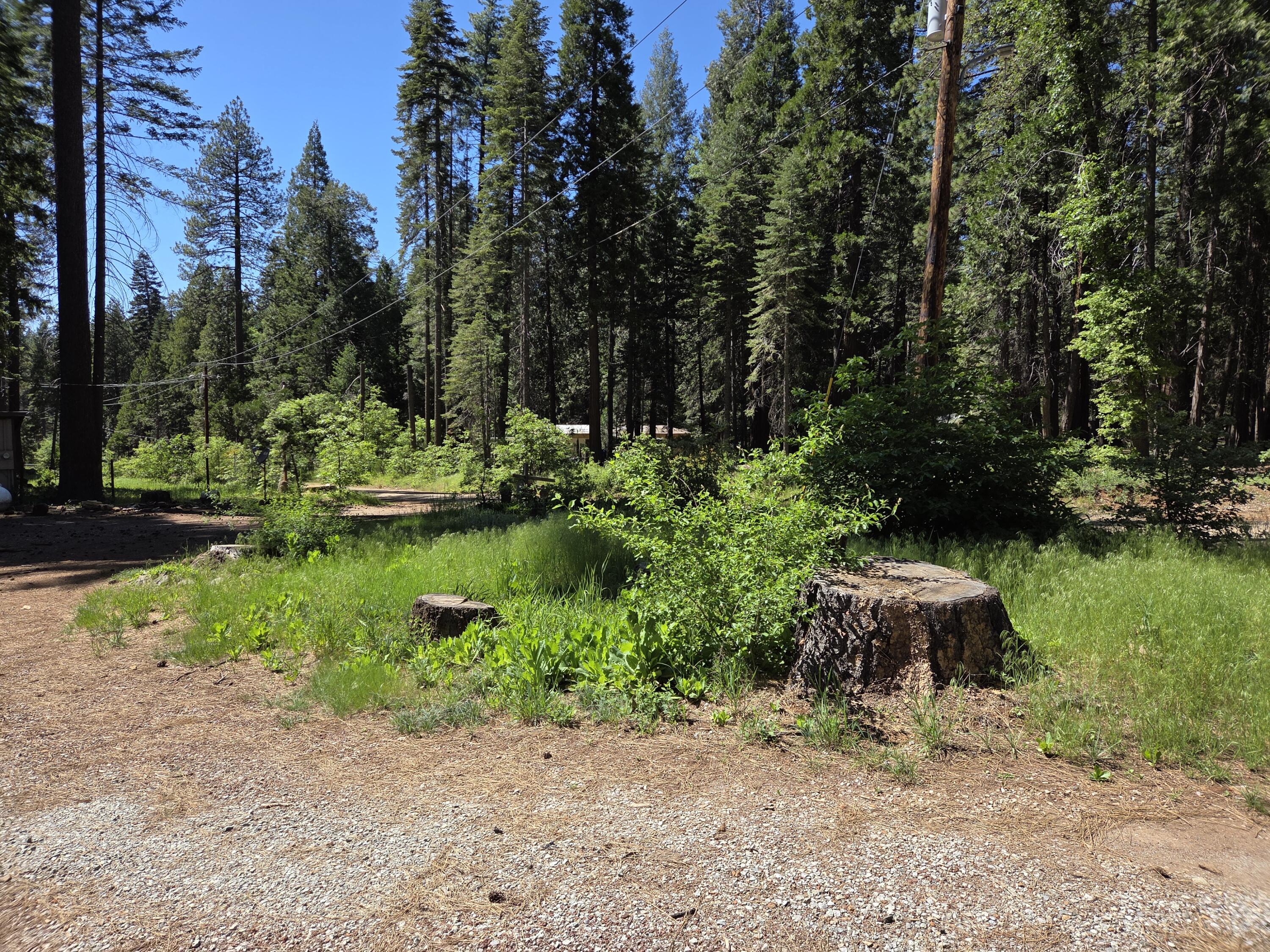 33433 Plateau Pines Road Shingletown, CA 96088 - Photo 10 of 25 CIRCULAR DRIVEWAY