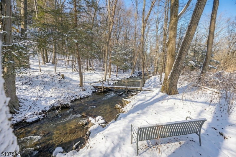 31 Meadow Lane Vernon, NJ 07462 - Photo 32 of 43 a view of a yard with plants and trees