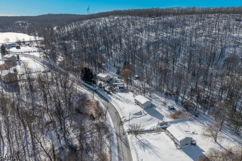 31 Meadow Lane Vernon, NJ 07462 - Photo 42 of 43 a view of lot of trees