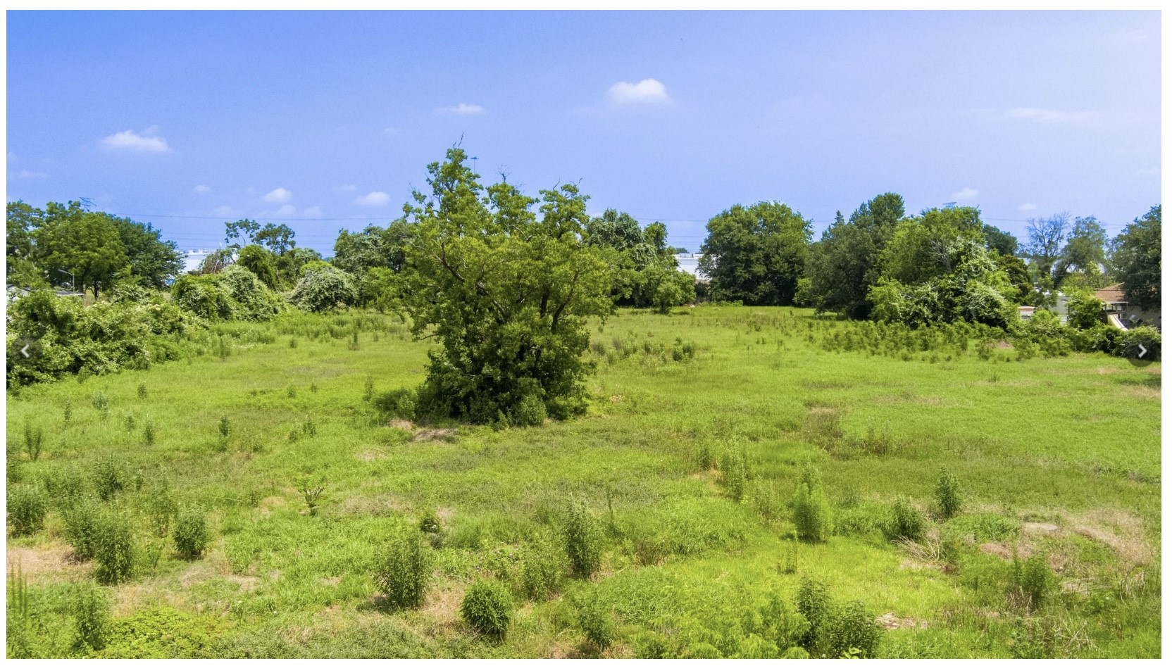 3240 Brownie Campbell Road Houston, TX 77086 - Photo 5 of 19 a view of a big yard with a garden and plants