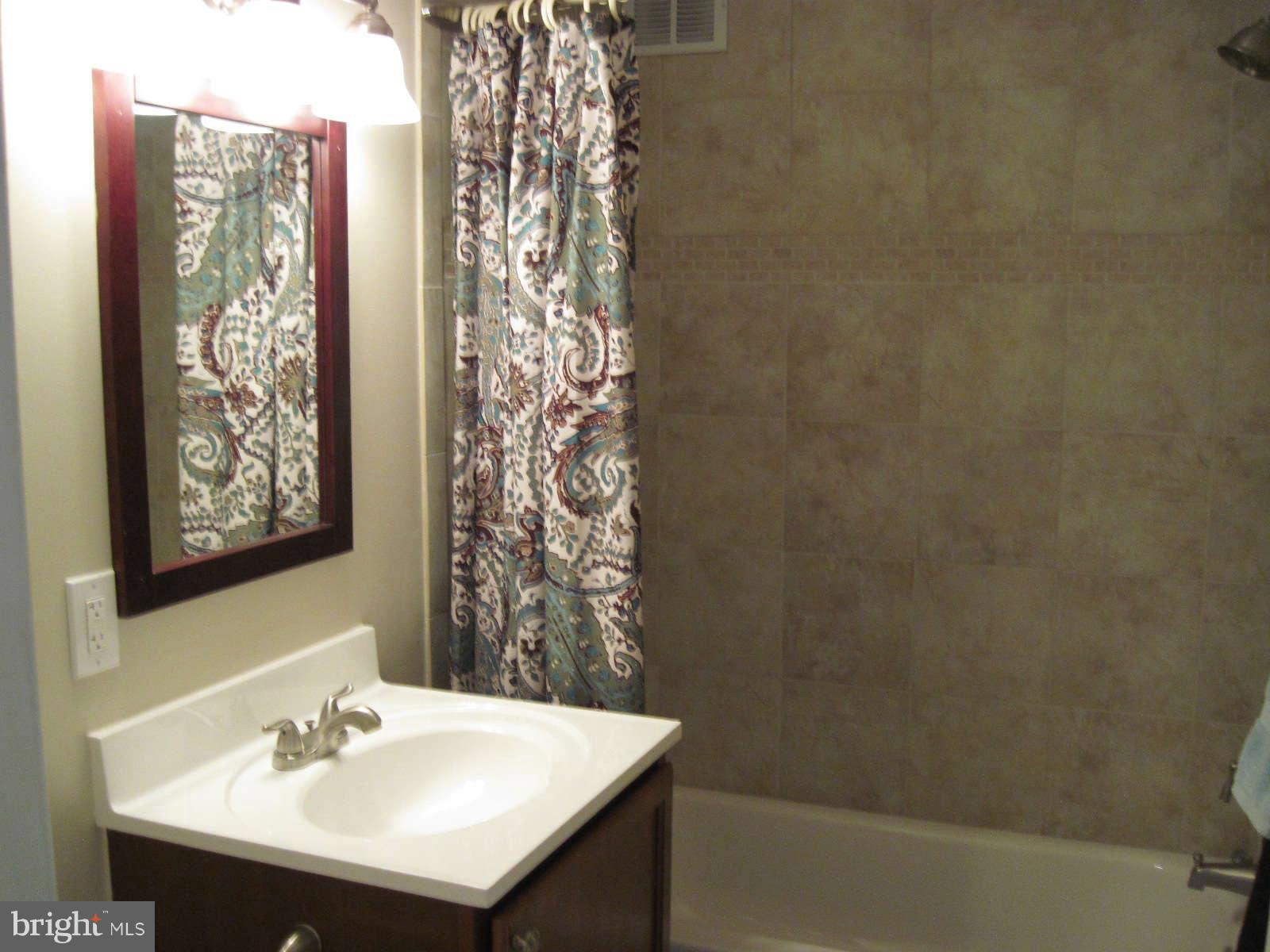 1300 South Arlington Ridge Road, Unit 309 Arlington, VA 22202 - Photo 6 of 14 a bathroom with a sink toilet and shower