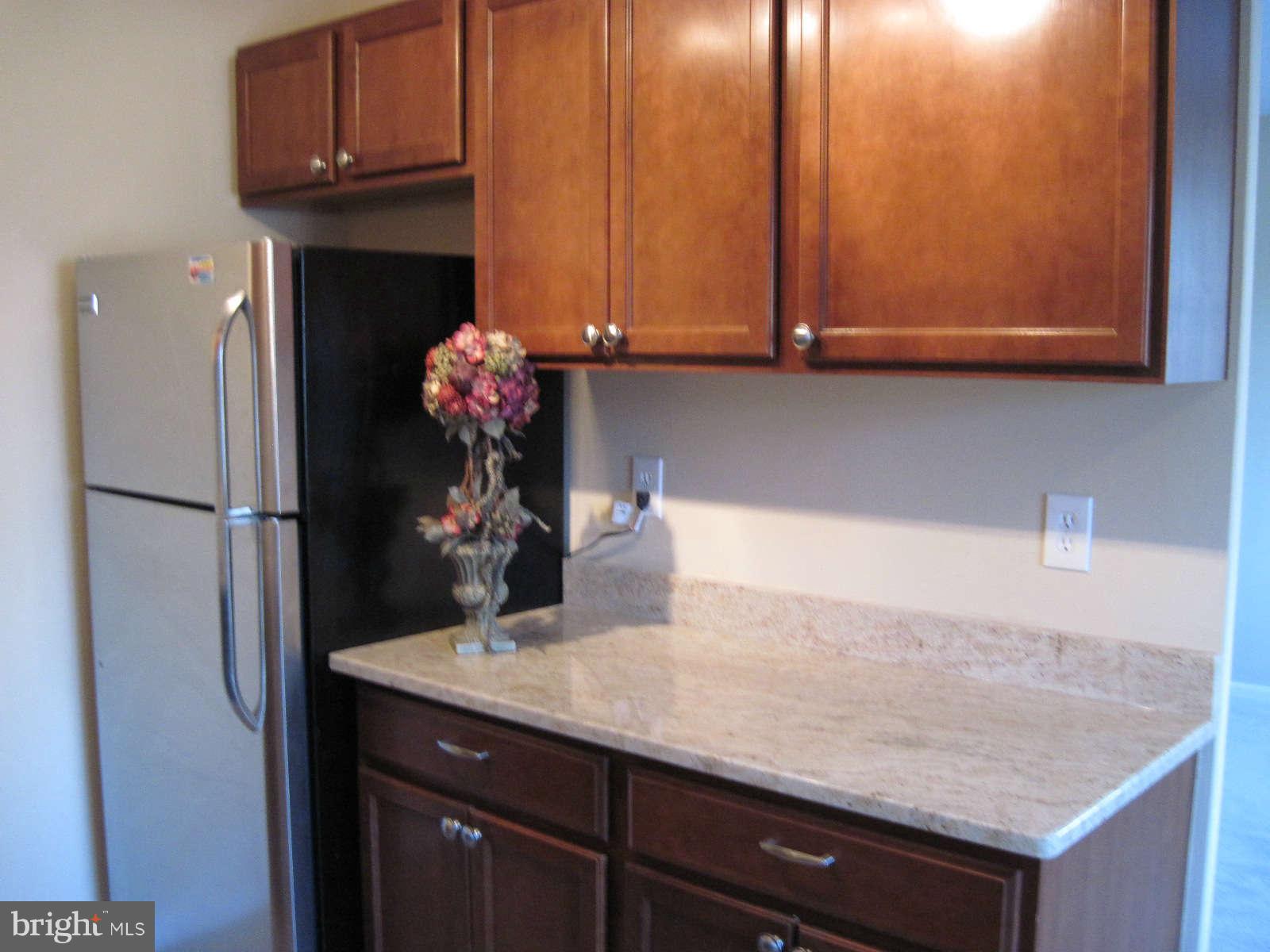 1300 South Arlington Ridge Road, Unit 309 Arlington, VA 22202 - Photo 7 of 14 a kitchen with a sink and cabinets