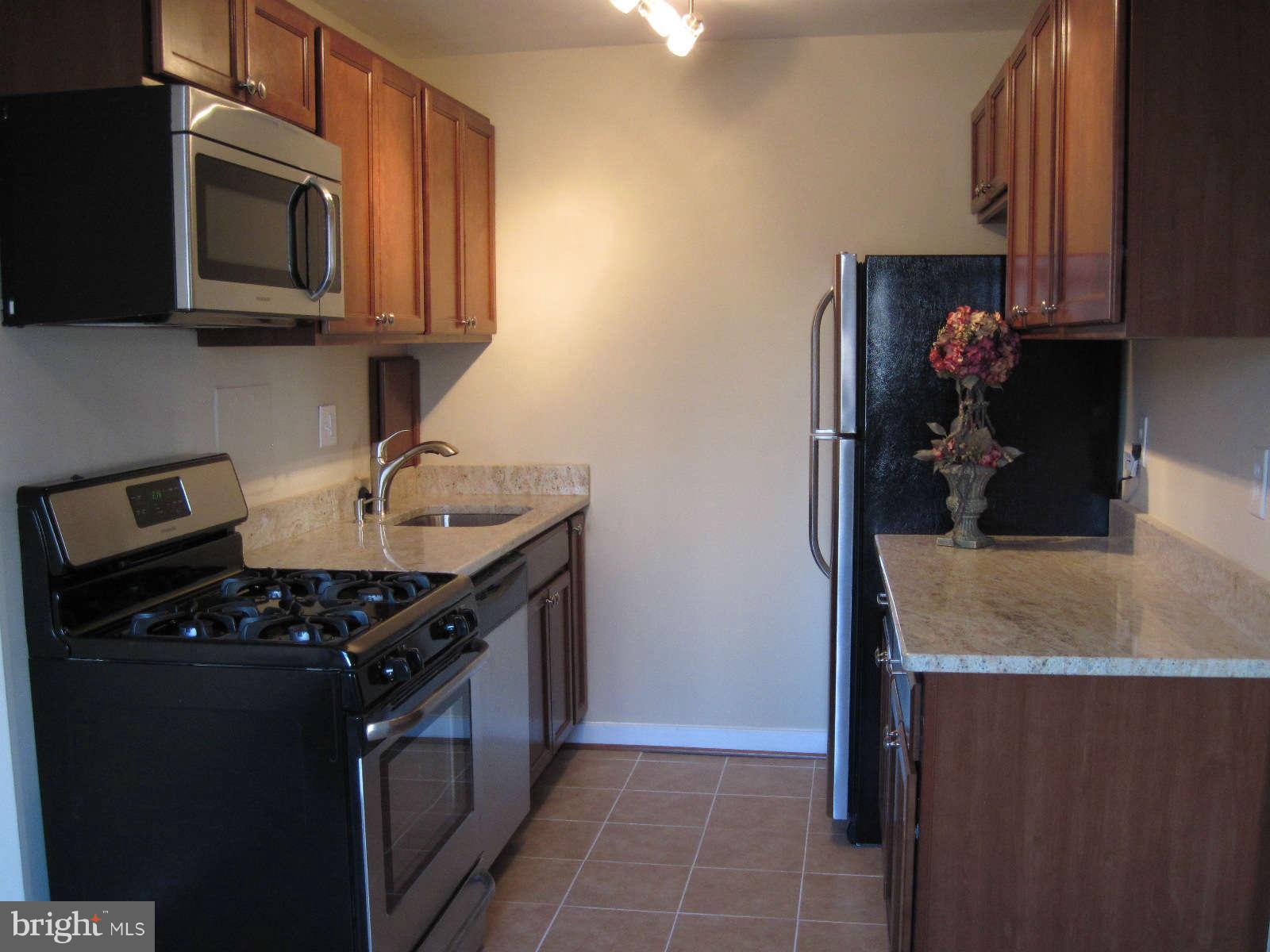 1300 South Arlington Ridge Road, Unit 309 Arlington, VA 22202 - Photo 8 of 14 a kitchen with stainless steel appliances granite countertop a sink stove and microwave