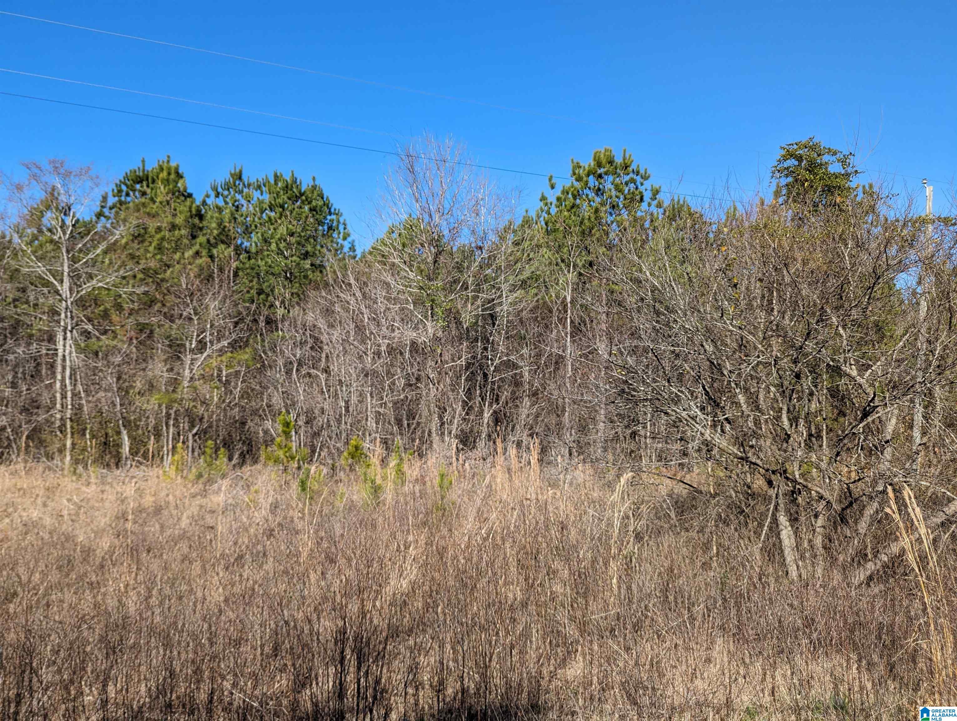 0 Chandler Springs Road Talladega, AL 35160 - Photo 23 of 35