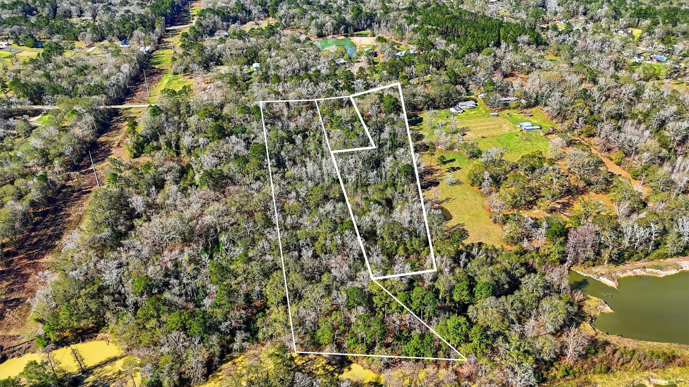 29610 East Irvin Road Huffman, TX 77336 - Photo 3 of 8 a view of a yard with a tree
