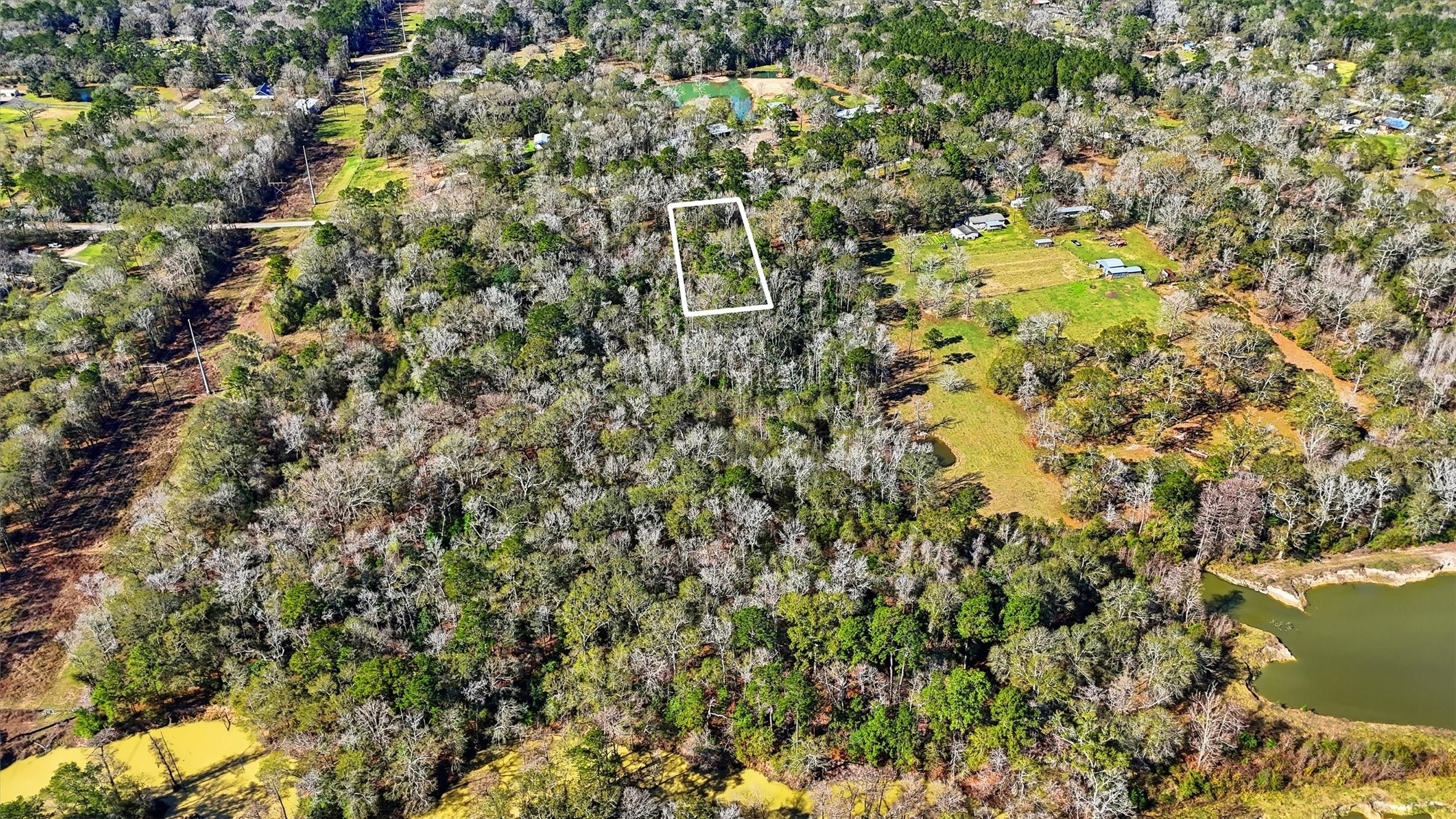 29610 East Irvin Road Huffman, TX 77336 - Photo 5 of 8