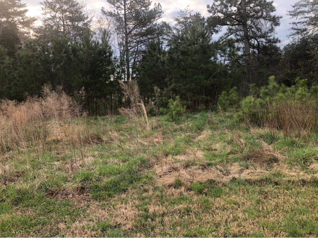 3156 Wormranch Road Haw River, NC 27258 - Photo 6 of 8 Gallery Image 6