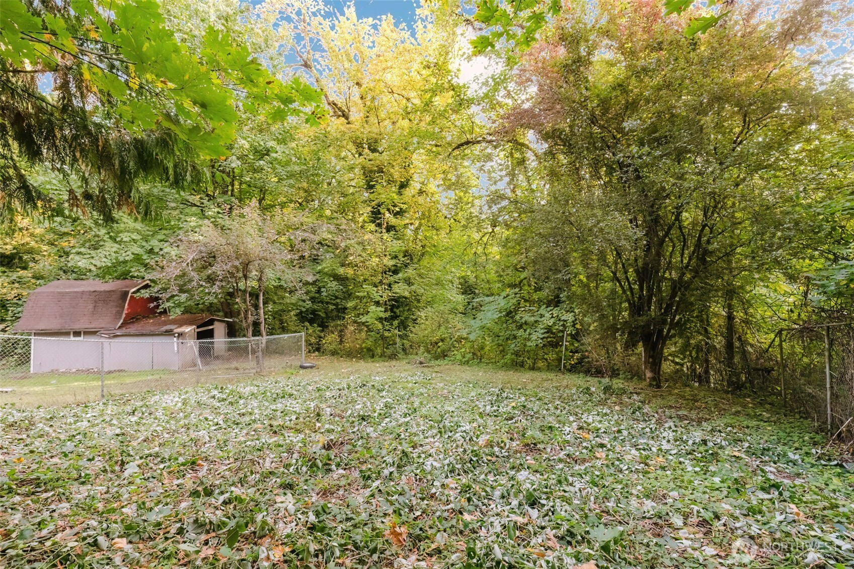 80 East Judy Lane Belfair, WA 98528 - Photo 10 of 40 a backyard of a house with lots of green space