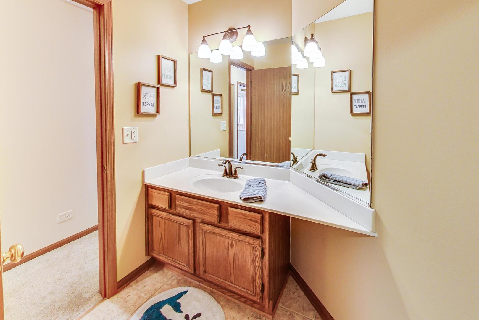 1174 Sweetwater Ridge Lake In The Hills, IL 60156 - Photo 27 of 44 a bathroom with a sink a mirror and a shower