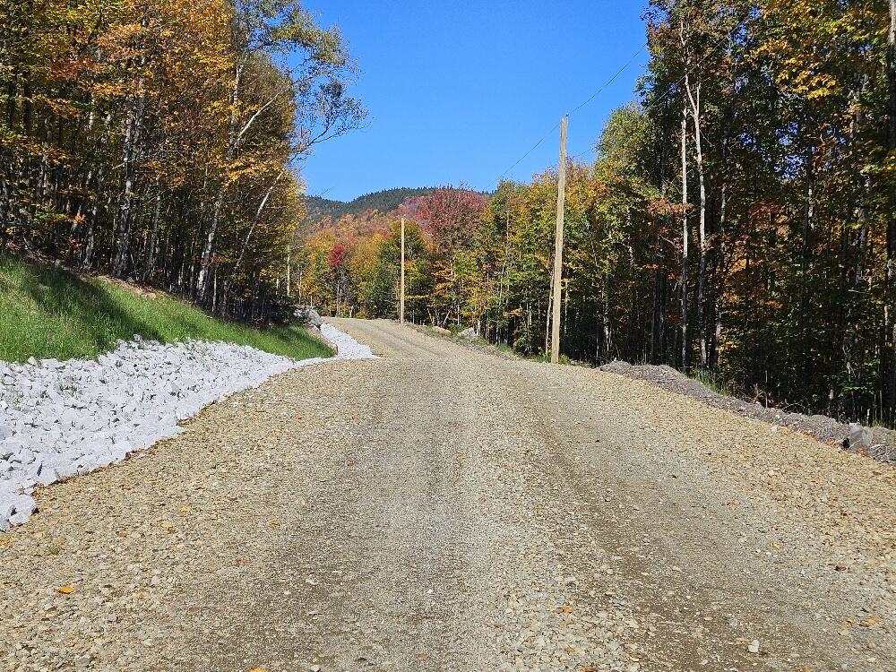 Lot 9 East Moose Alley Road Temple, ME 04984 - Photo 37 of 46