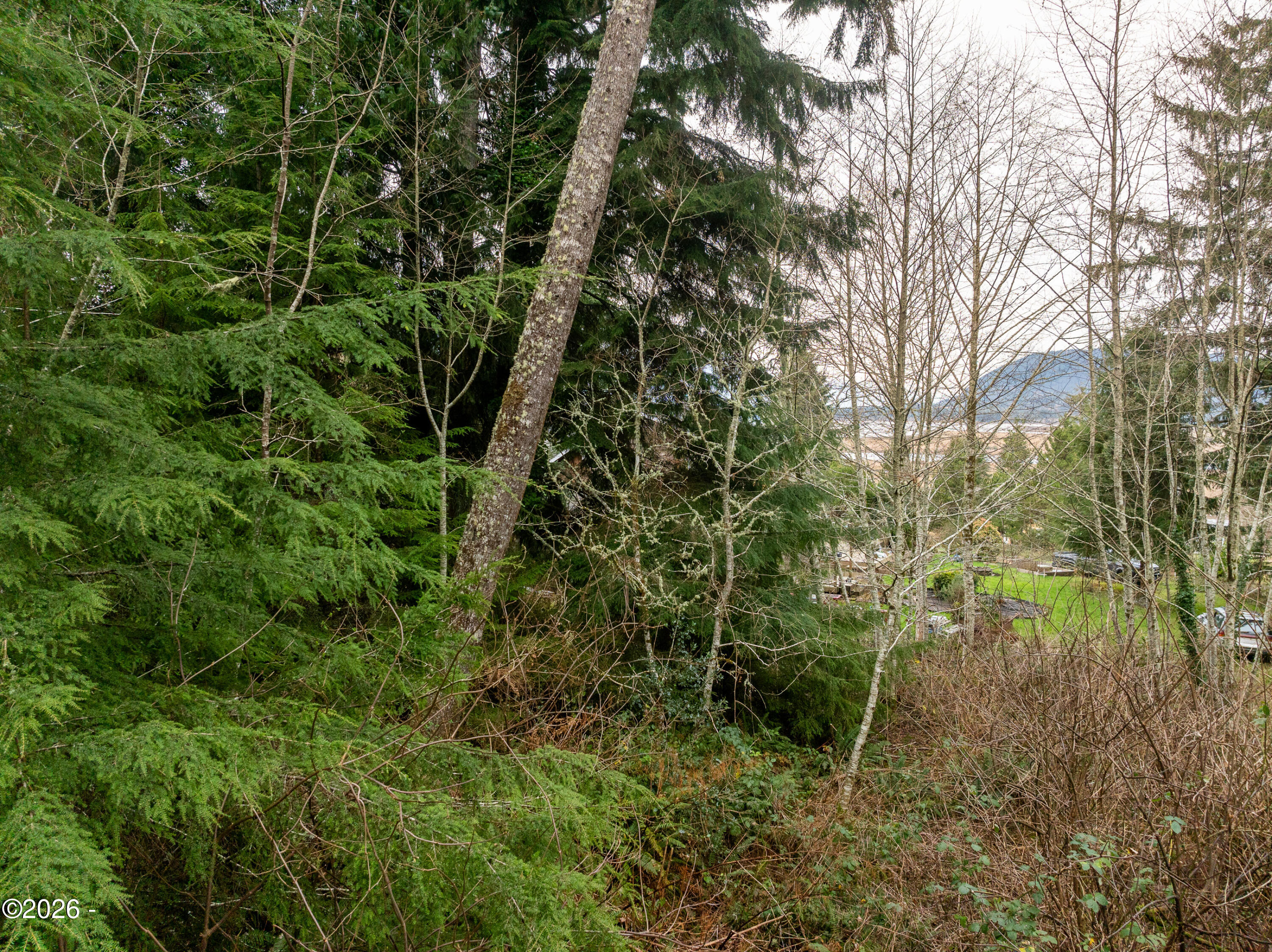 7301 Akin Street Wheeler, OR 97147 - Photo 21 of 27 Powell-Wheeler_Lot_2026-004-Broken_Banjo