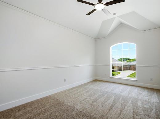 5034 West Fall Drive Midlothian, TX 76065 - Photo 29 of 40 Arched window with gridded panes and white trim