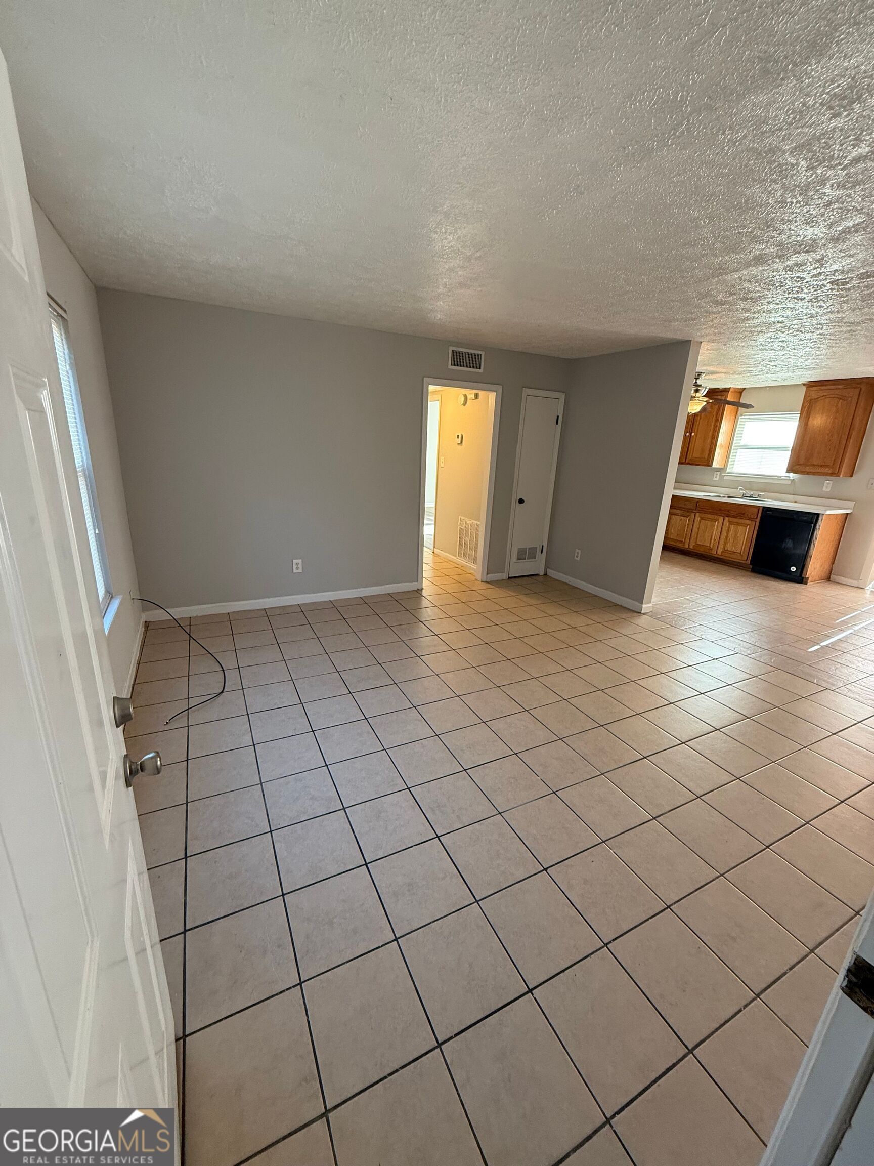 250 Toby Springs Lane McDonough, GA 30253 - Photo 3 of 10 an empty room with windows