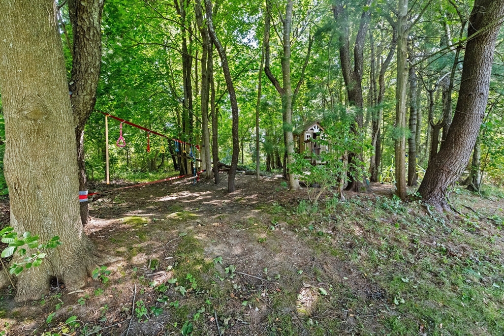 46 Brookwood Road Hanover, MA 02339 - Photo 37 of 41 a view of outdoor space and tree