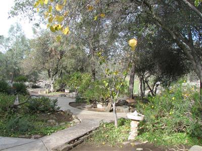 20164 Nicholas Road Prather, CA 93651 - Photo 3 of 67 One of the many garden areas with paved access