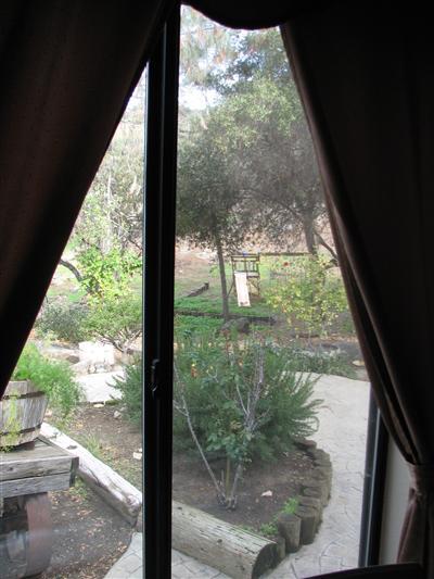 20164 Nicholas Road Prather, CA 93651 - Photo 34 of 67 Front garden/patio area from downstairs bedroom