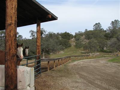 20164 Nicholas Road Prather, CA 93651 - Photo 67 of 67 Drive out to road leading out of ranch