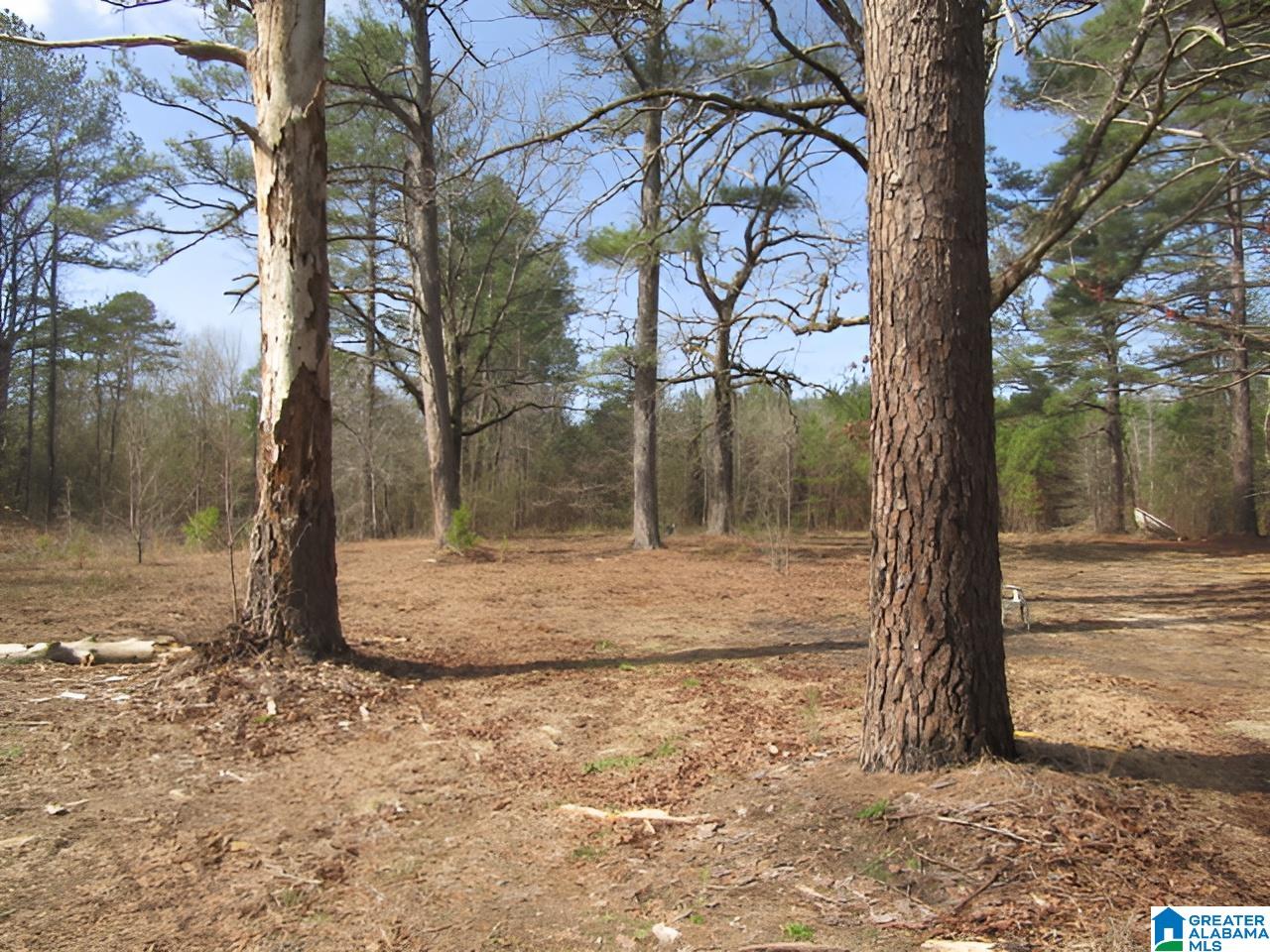 4429 Roy Webb Road Jacksonville, AL 36265 - Photo 17 of 26
