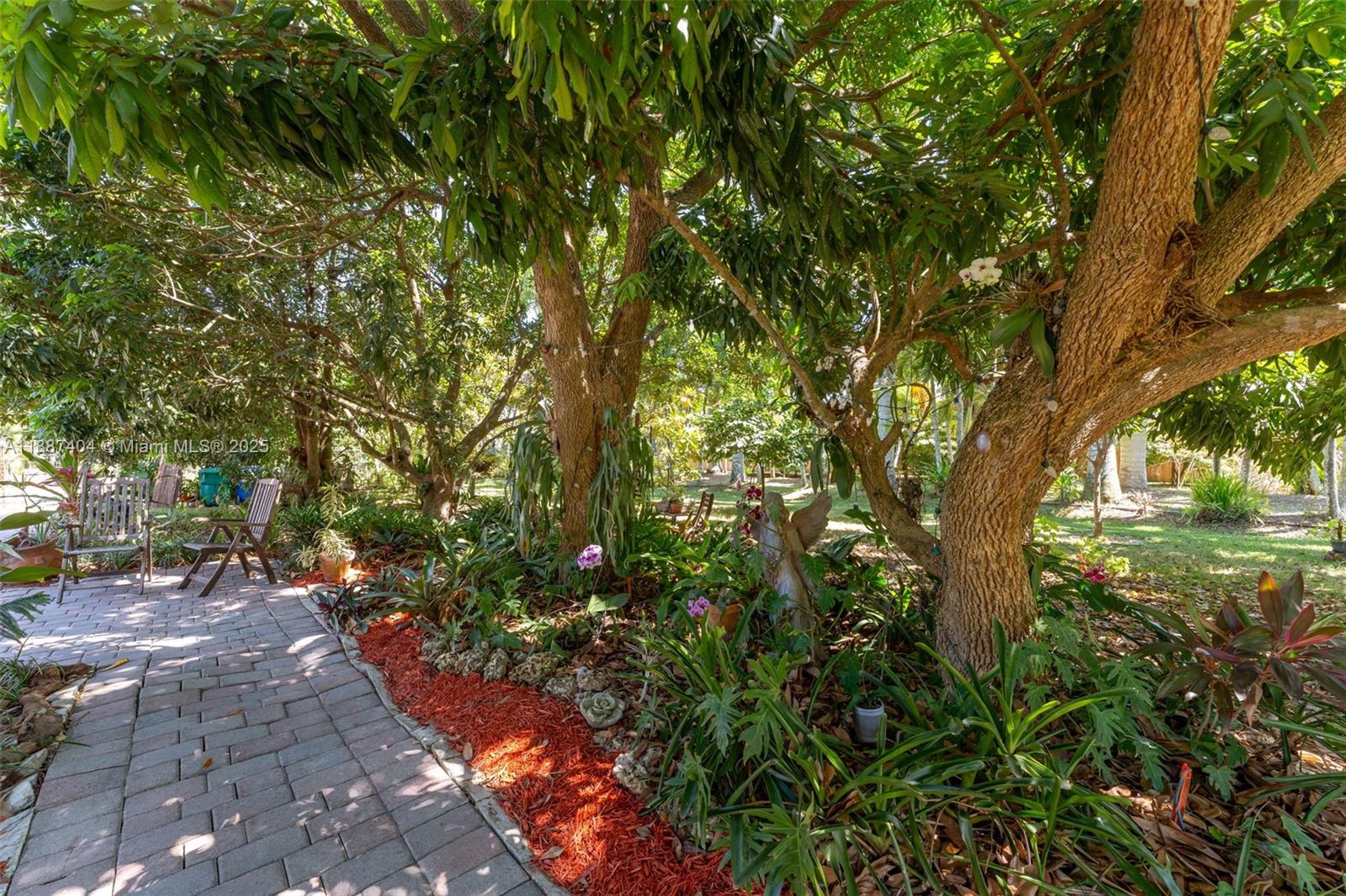 20230 Southwest 184th Street Miami, FL 33187 - Photo 27 of 42 Pathway from home to the Artisan studio the Tiki that fronts the studio. The studio is on the other side of property away from the pool/patio, Its a super lay out and use of exterior space. The barn is in the rear of the property. Its divided into quadrants.