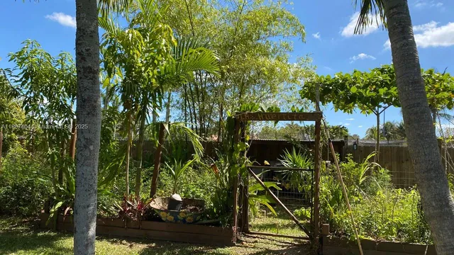 a view of a backyard