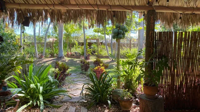 a close up of a plant in a garden