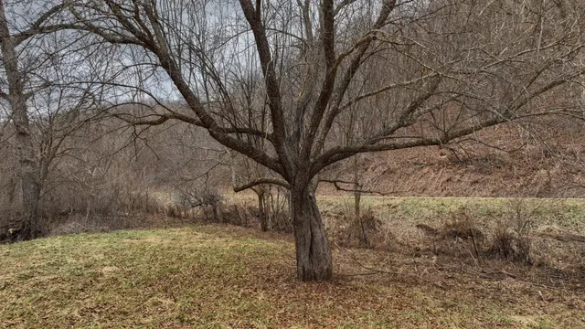 $314,900 | 0 County Road C, Soldiers Grove, WI 54655