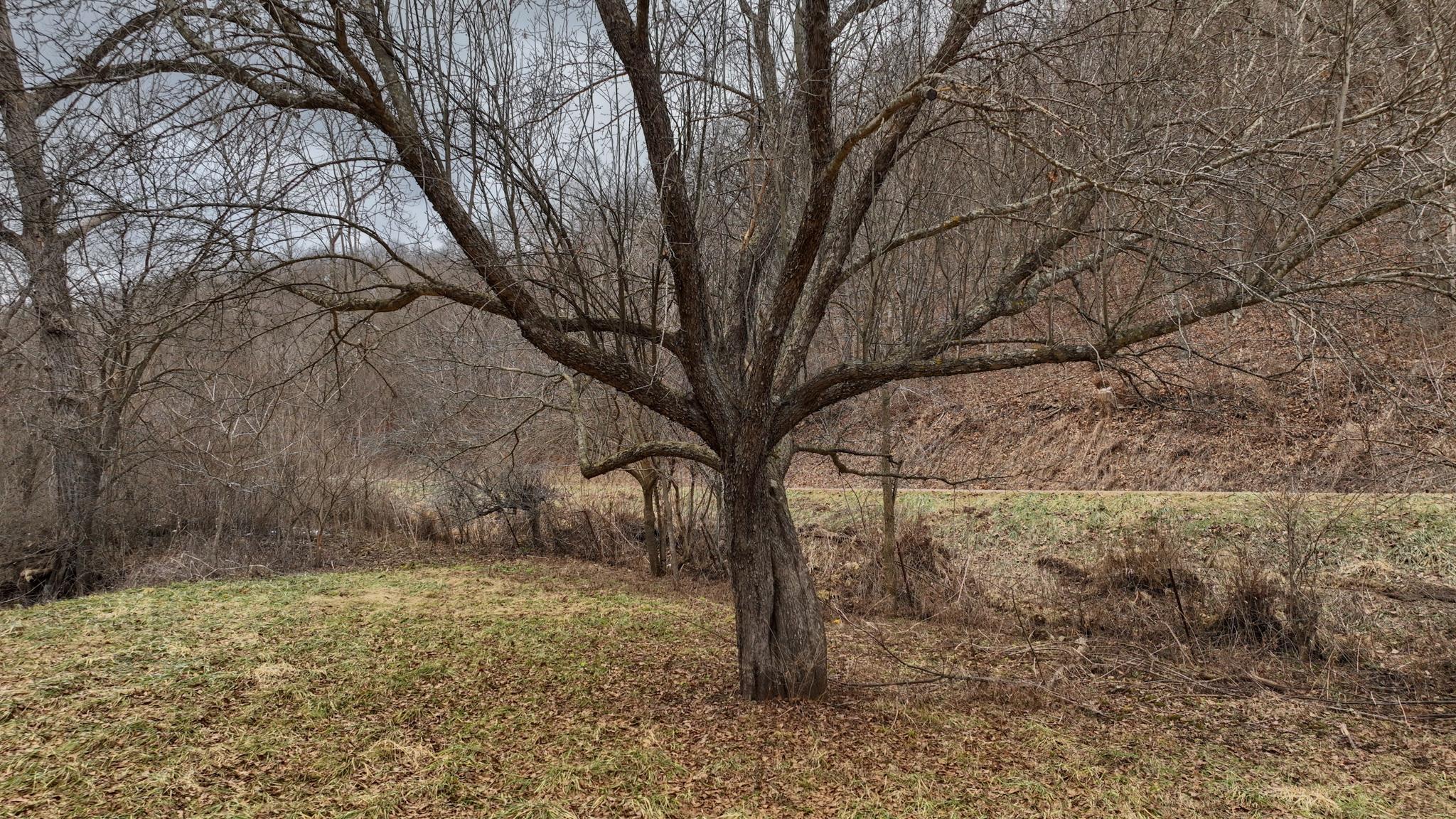 0 County Road C Soldiers Grove, WI 54655 - Photo 15 of 50