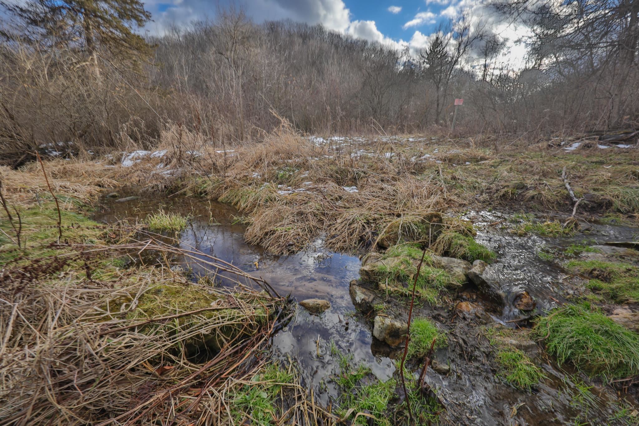 0 County Road C Soldiers Grove, WI 54655 - Photo 16 of 50