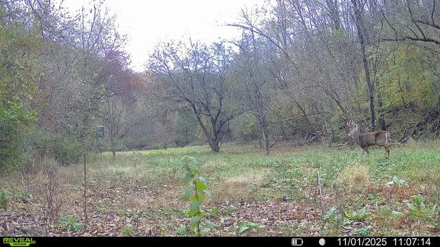 $314,900 | 0 County Road C, Soldiers Grove, WI 54655