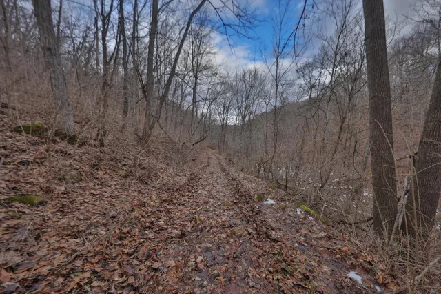 $314,900 | 0 County Road C, Soldiers Grove, WI 54655