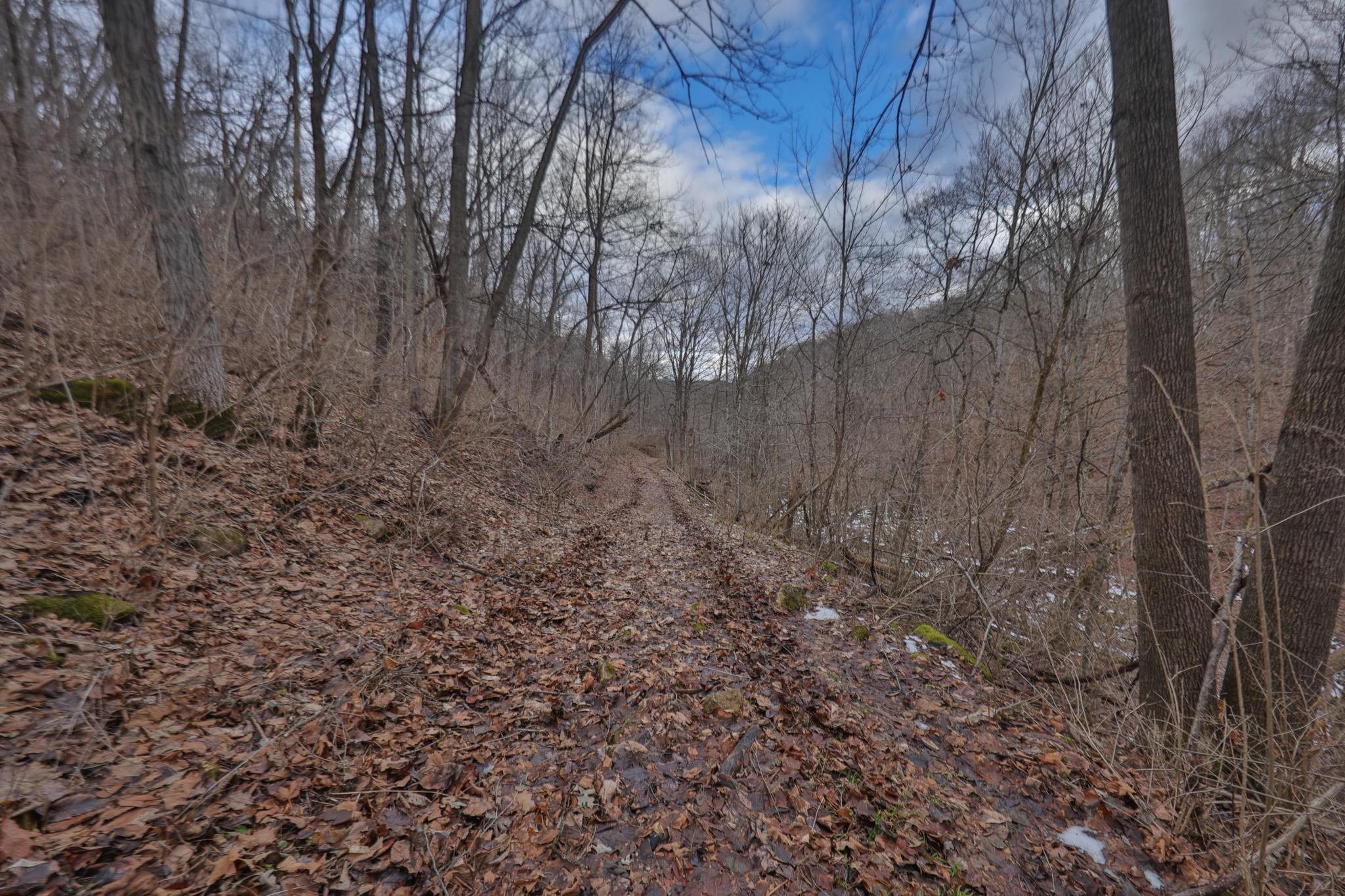 0 County Road C Soldiers Grove, WI 54655 - Photo 21 of 50