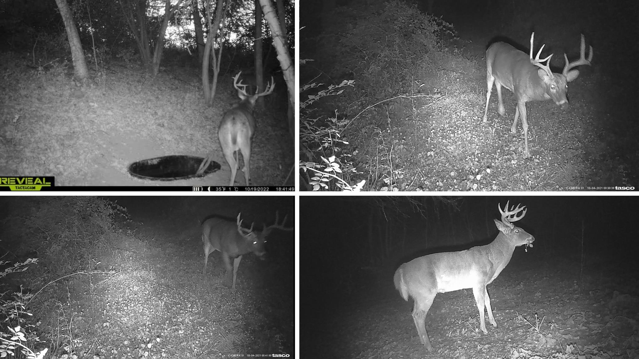 0 County Road C Soldiers Grove, WI 54655 - Photo 24 of 50