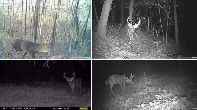 $314,900 | 0 County Road C, Soldiers Grove, WI 54655