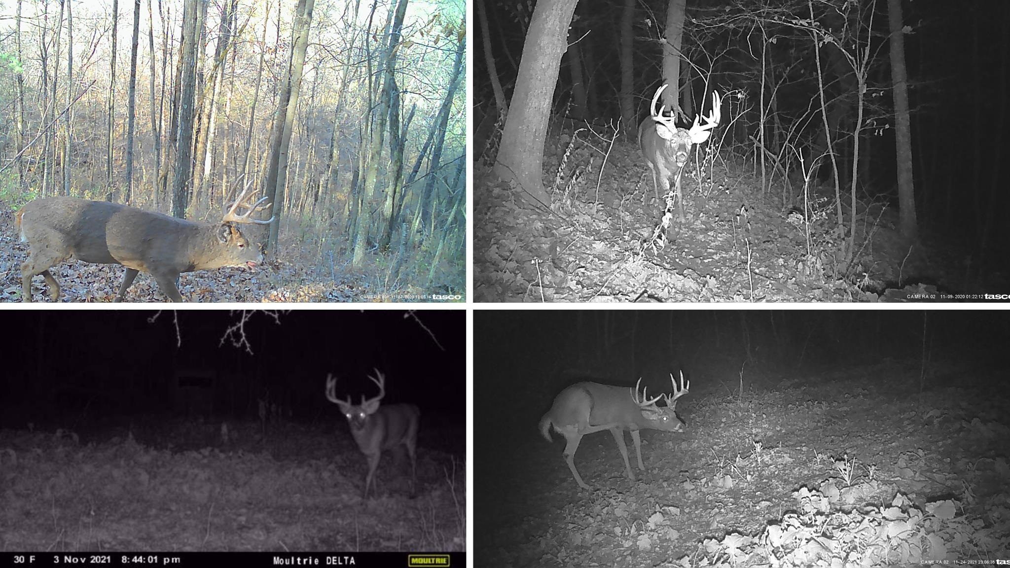 0 County Road C Soldiers Grove, WI 54655 - Photo 25 of 50