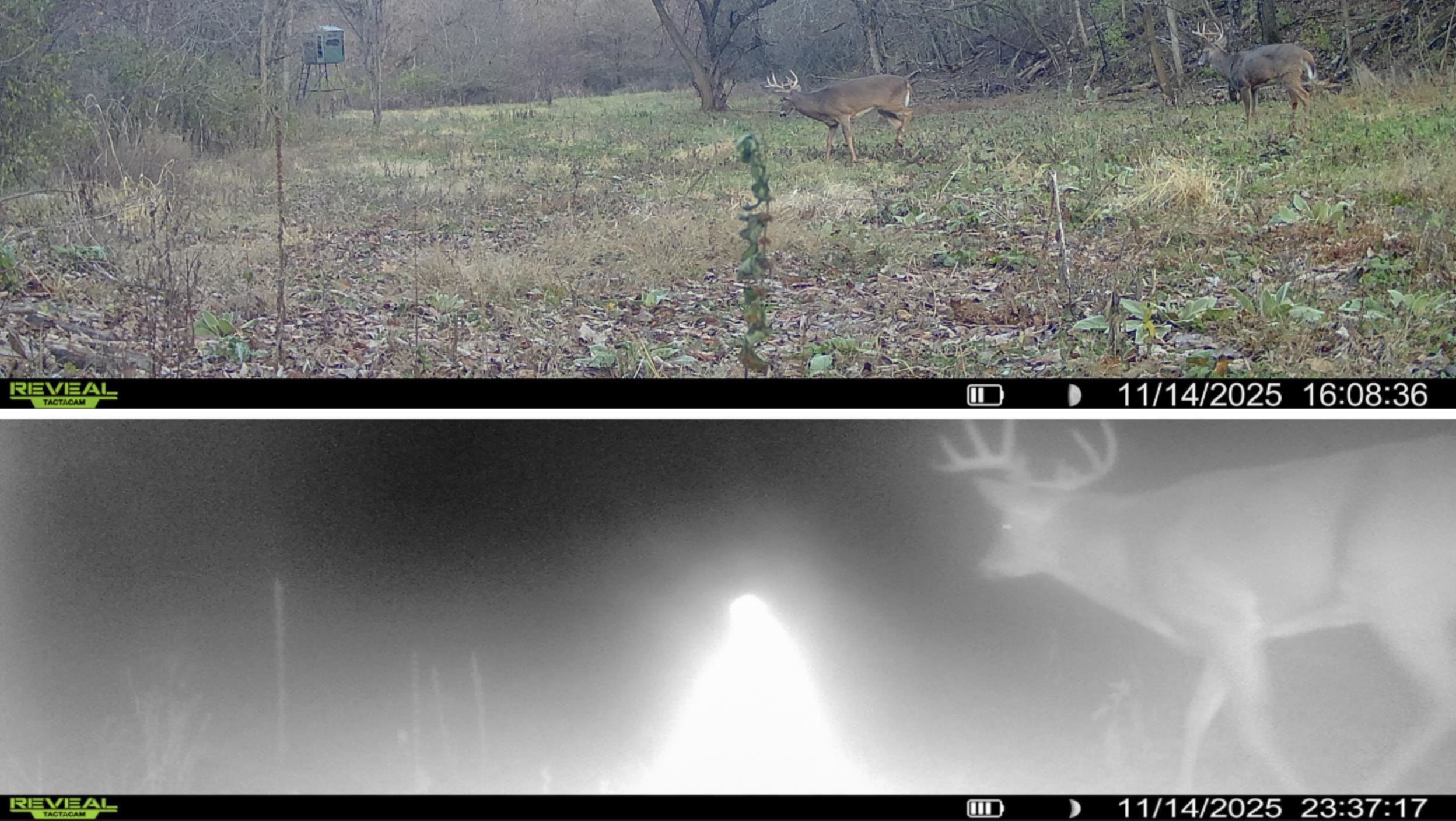 0 County Road C Soldiers Grove, WI 54655 - Photo 26 of 50