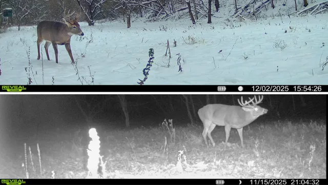 $314,900 | 0 County Road C, Soldiers Grove, WI 54655