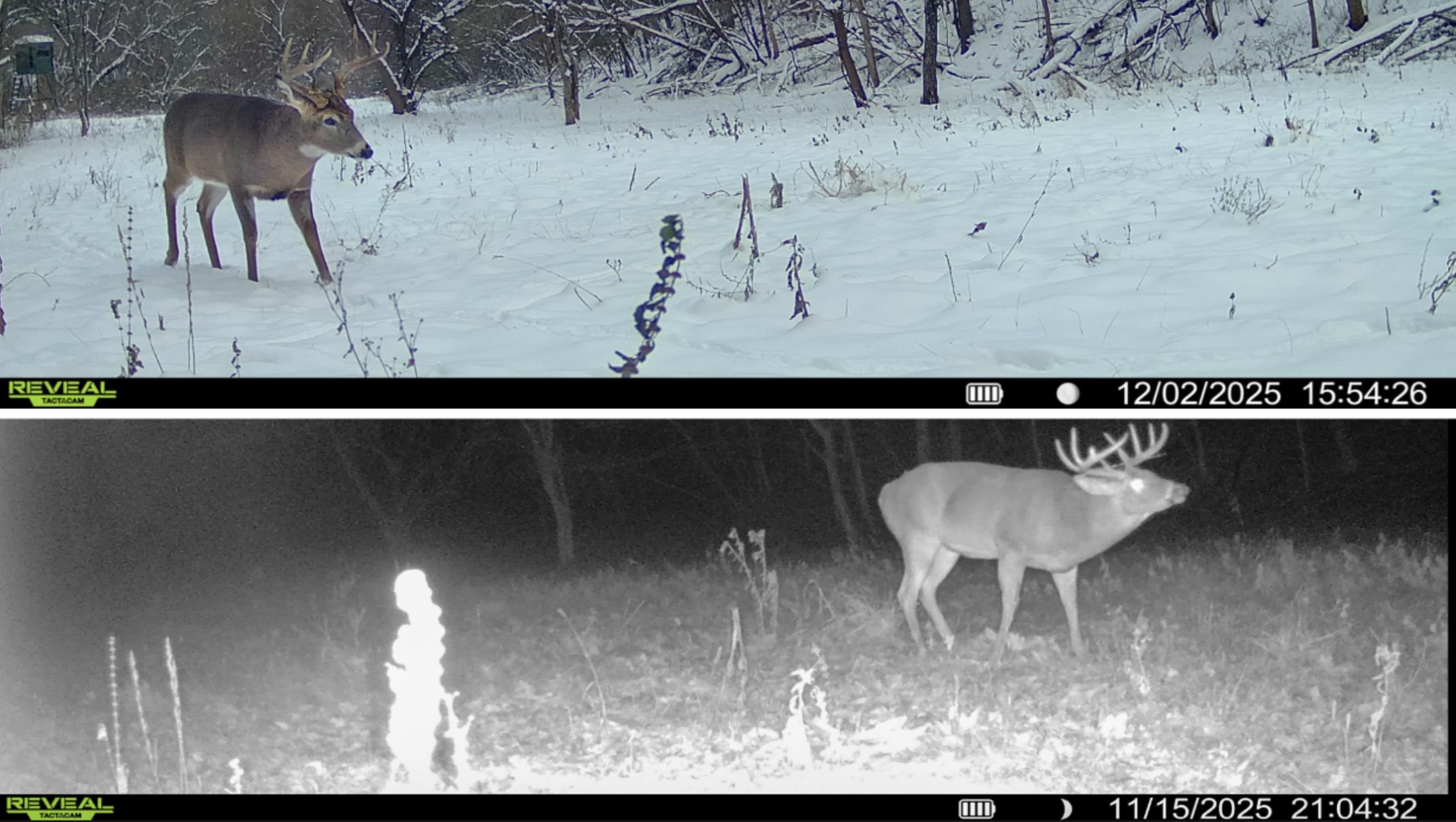 0 County Road C Soldiers Grove, WI 54655 - Photo 3 of 50