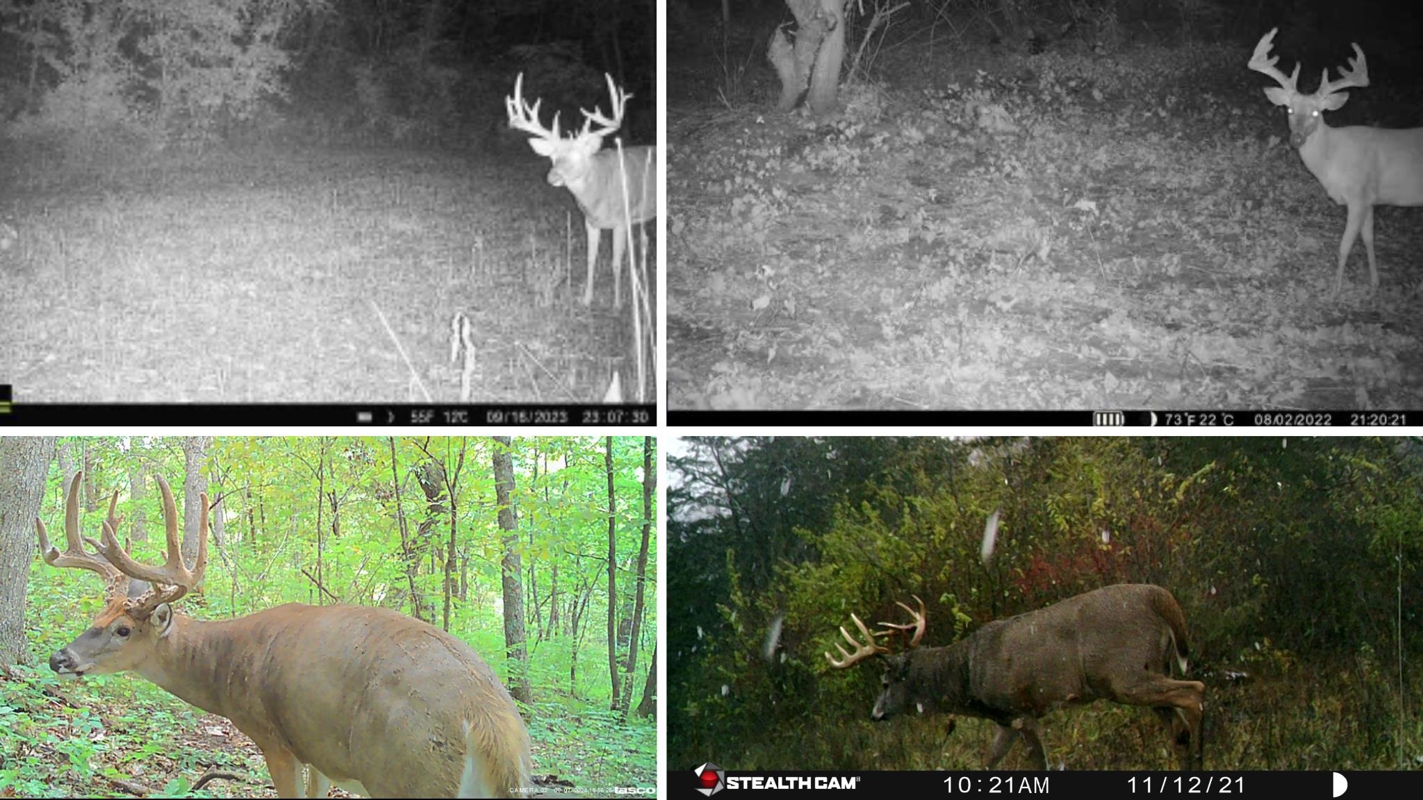 0 County Road C Soldiers Grove, WI 54655 - Photo 4 of 50