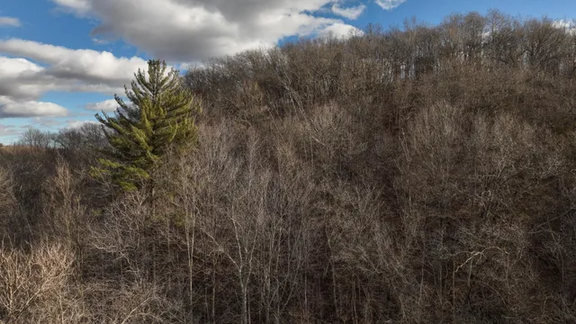 $314,900 | 0 County Road C, Soldiers Grove, WI 54655