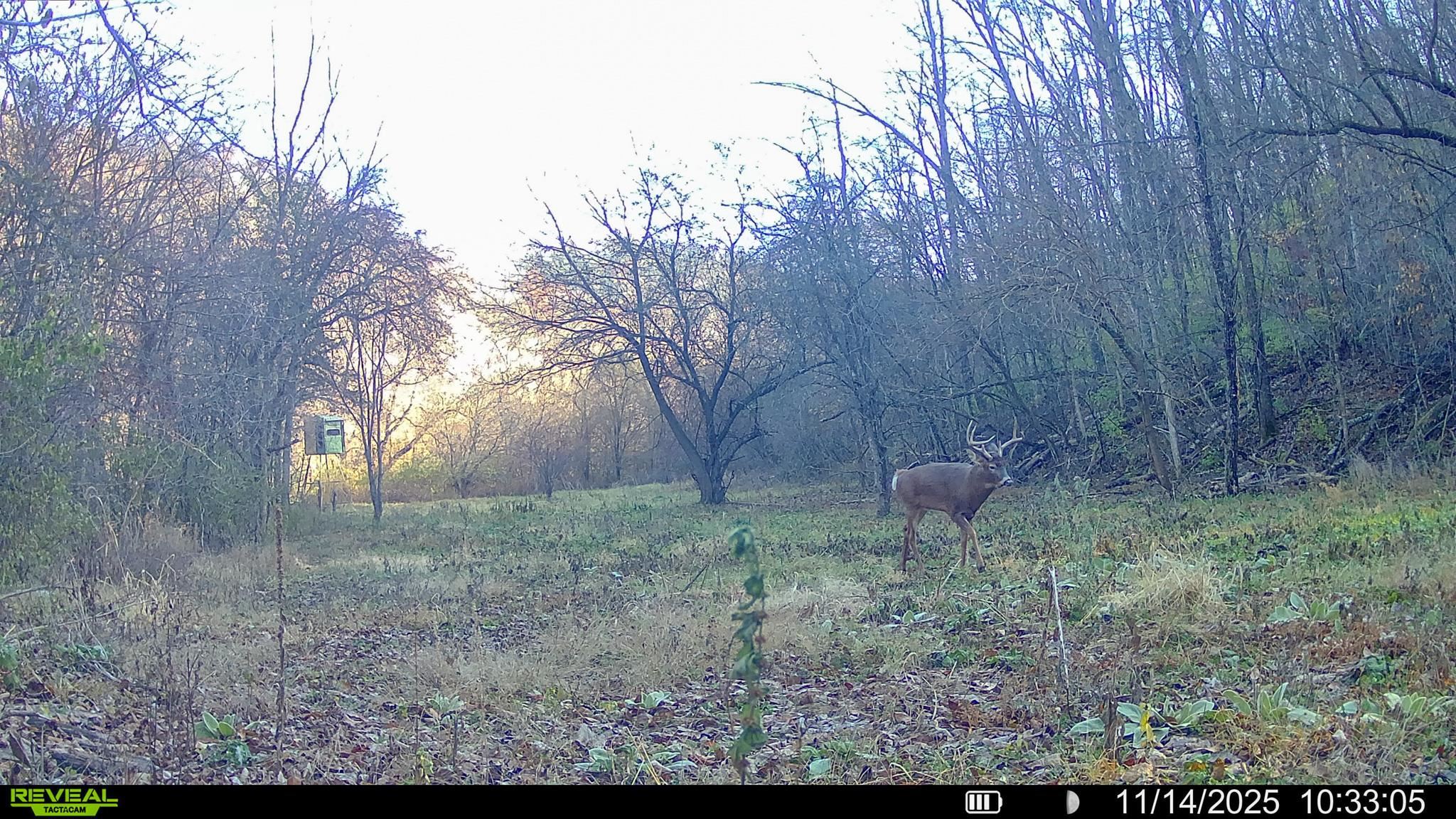 0 County Road C Soldiers Grove, WI 54655 - Photo 45 of 50
