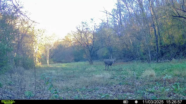 $314,900 | 0 County Road C, Soldiers Grove, WI 54655