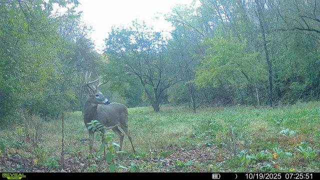 $314,900 | 0 County Road C, Soldiers Grove, WI 54655