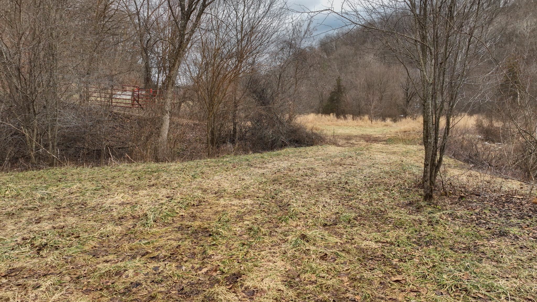 0 County Road C Soldiers Grove, WI 54655 - Photo 6 of 50